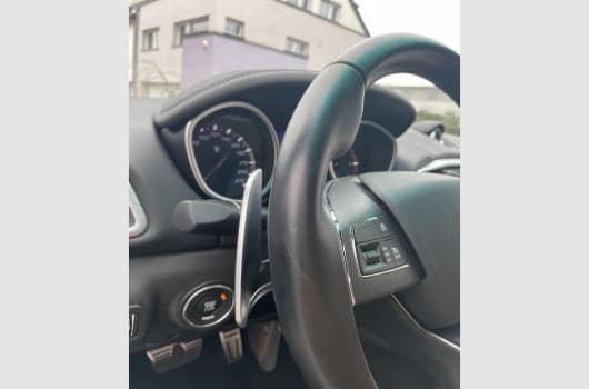 Gallery image 12