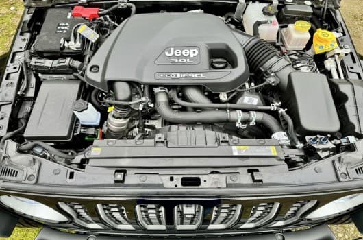 Gallery image 13
