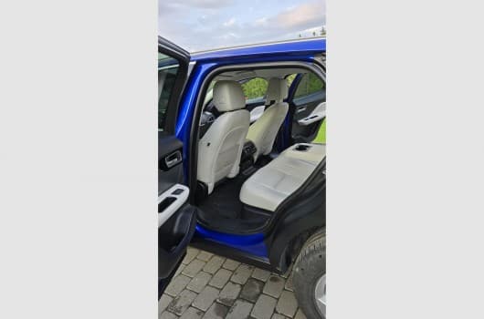 Gallery image 10