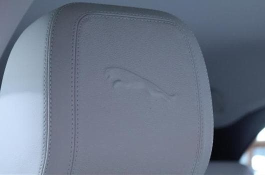 Gallery image 13