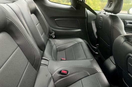 Gallery image 13