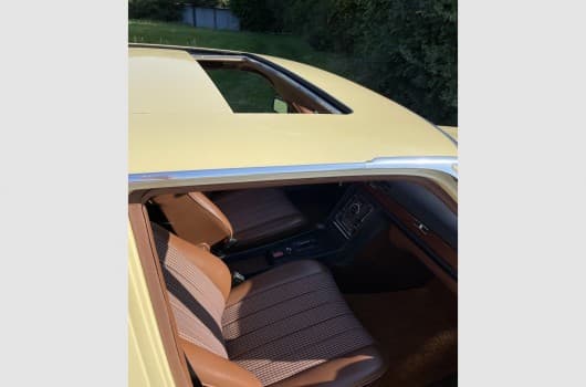 Gallery image 13