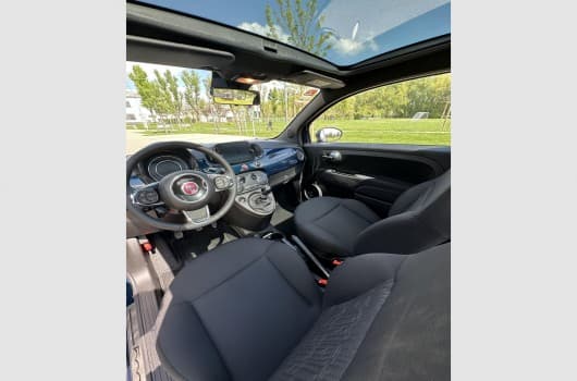 Gallery image 14