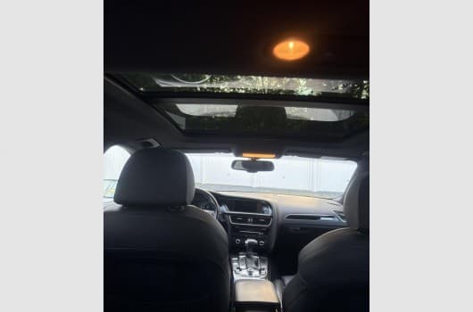 Gallery image 10