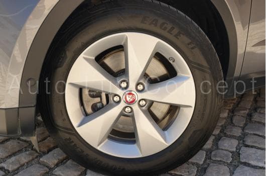 Gallery image 17