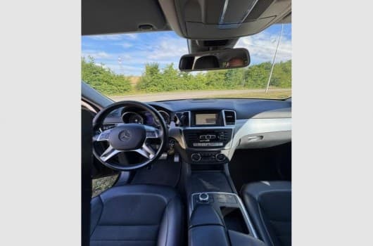 Gallery image 13