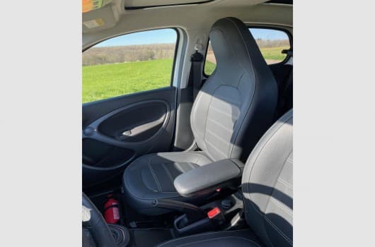 Gallery image 11