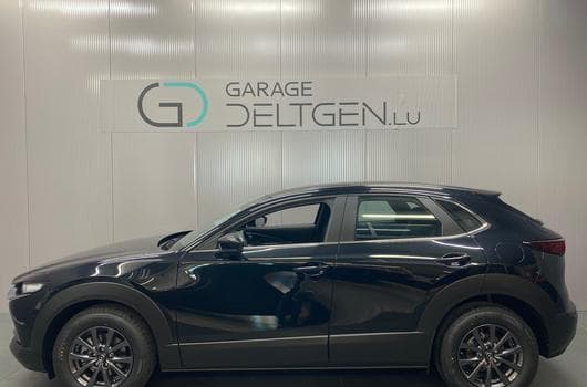 Gallery image 1