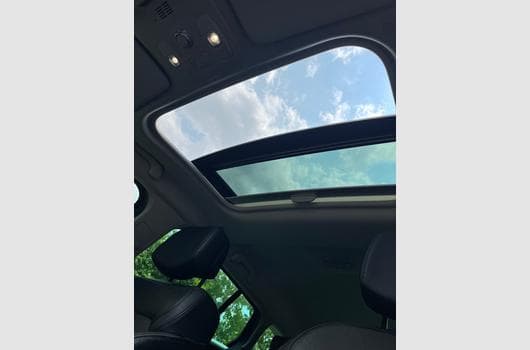 Gallery image 12