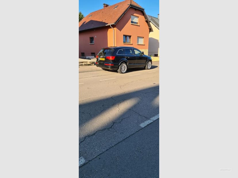 Gallery image 14