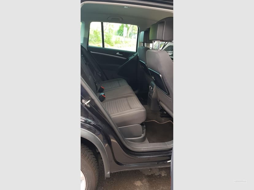 Gallery image 14