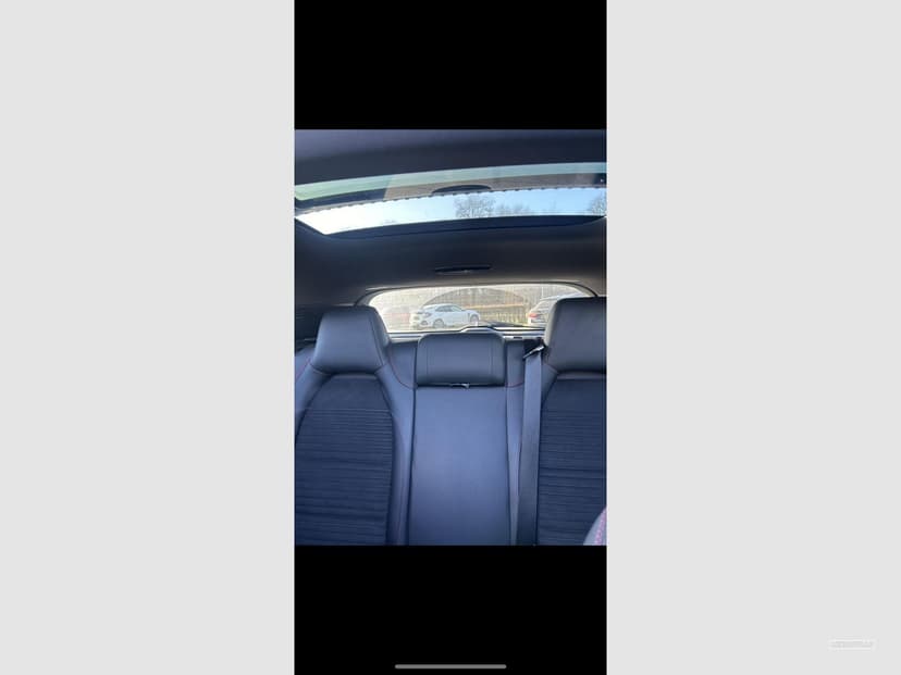 Gallery image 7