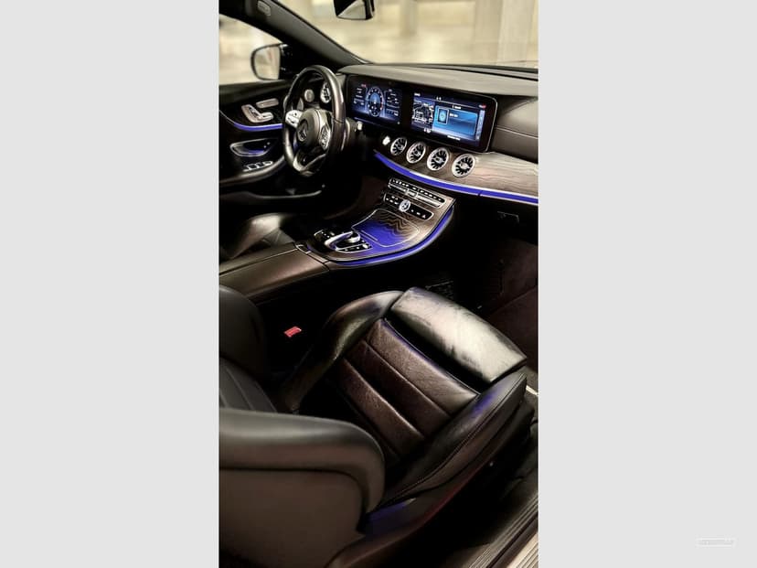 Gallery image 13