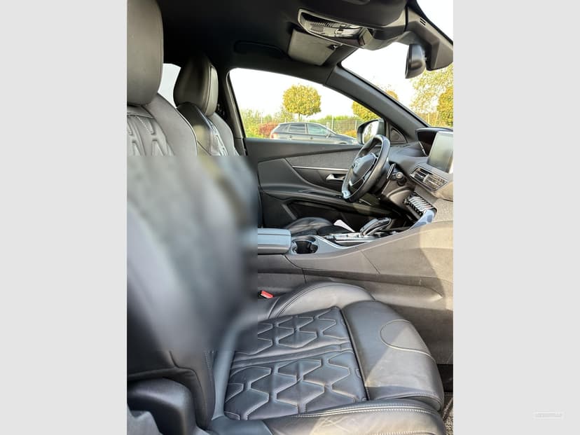 Gallery image 15
