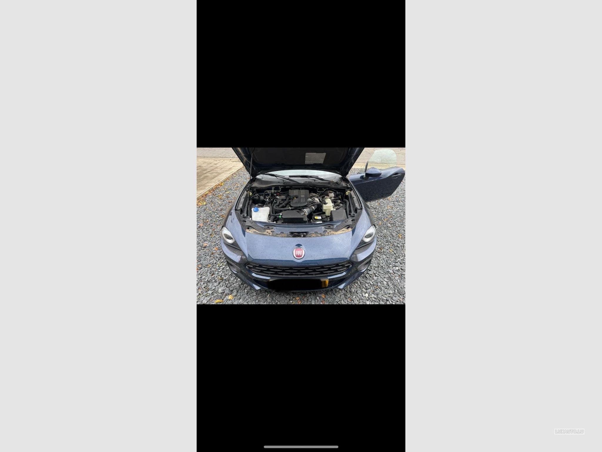 Gallery image 5