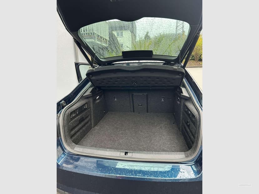Gallery image 14