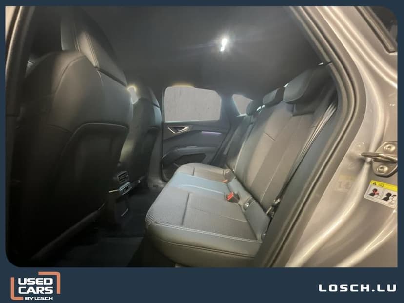 Gallery image 15