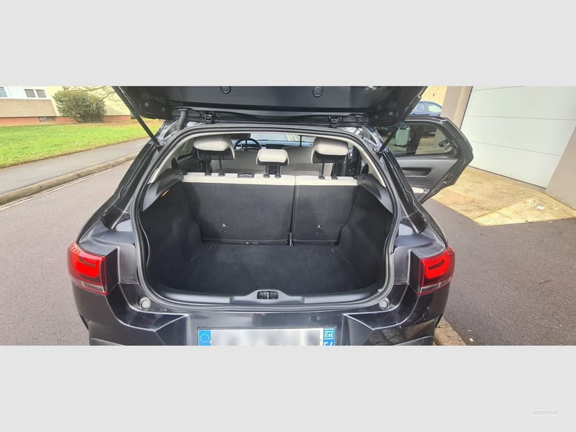 Gallery image 10