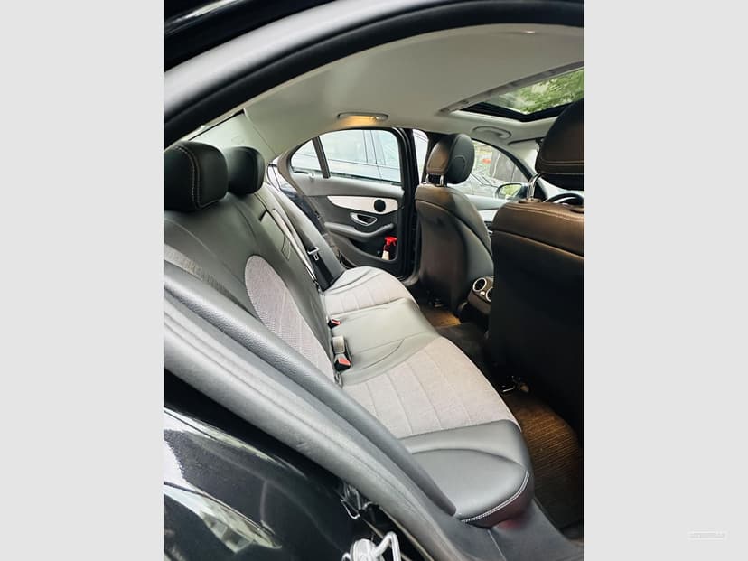 Gallery image 10