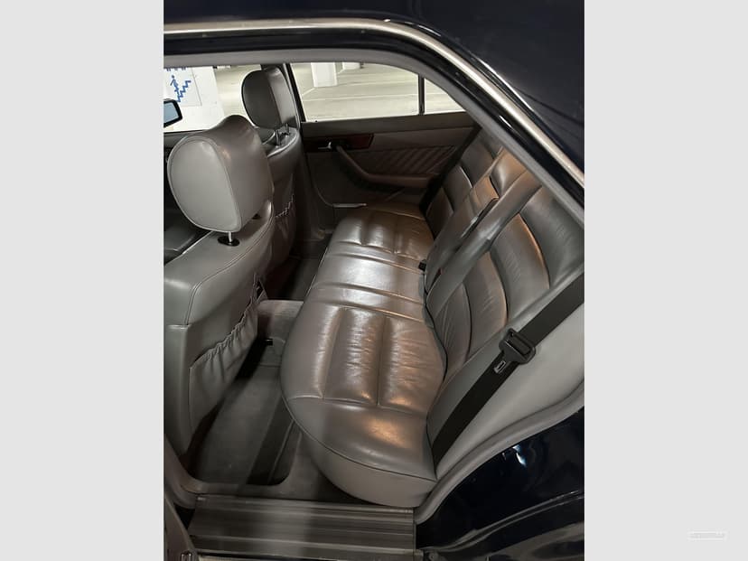 Gallery image 11