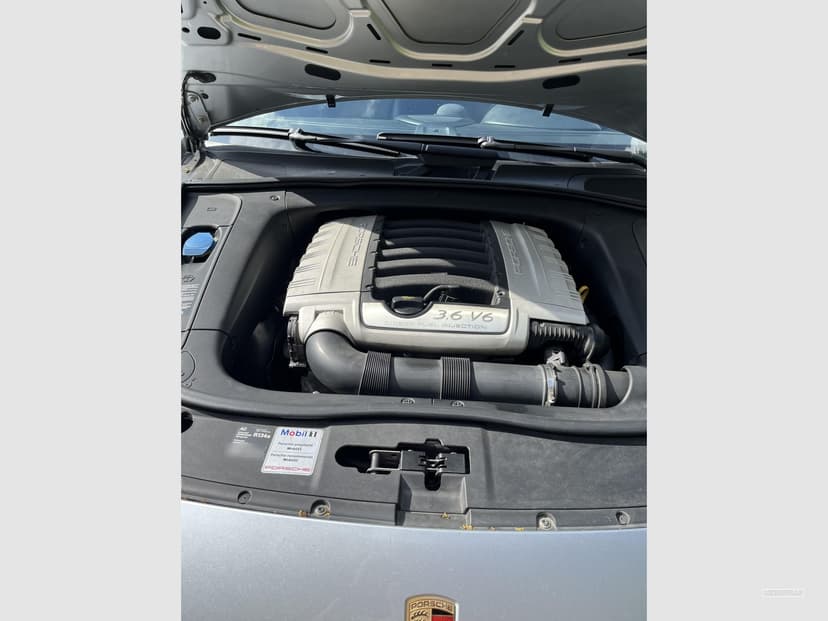 Gallery image 6