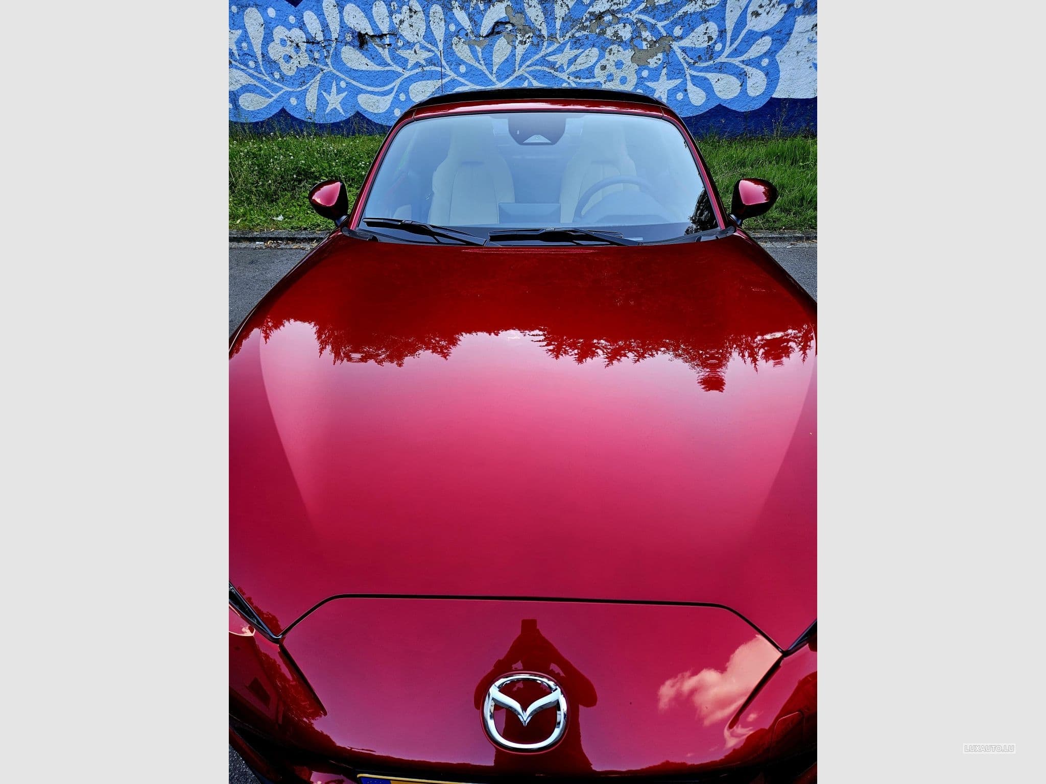 Gallery image 1