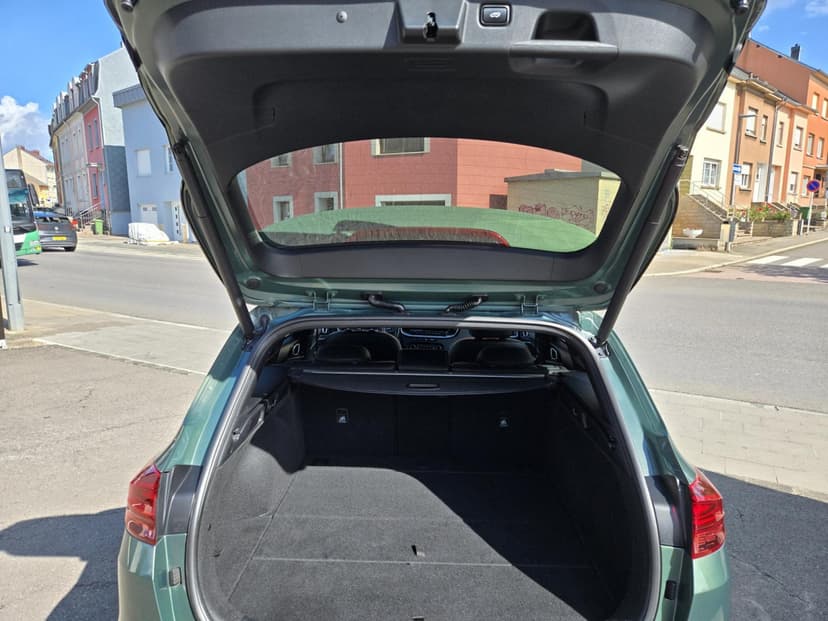 Gallery image 13
