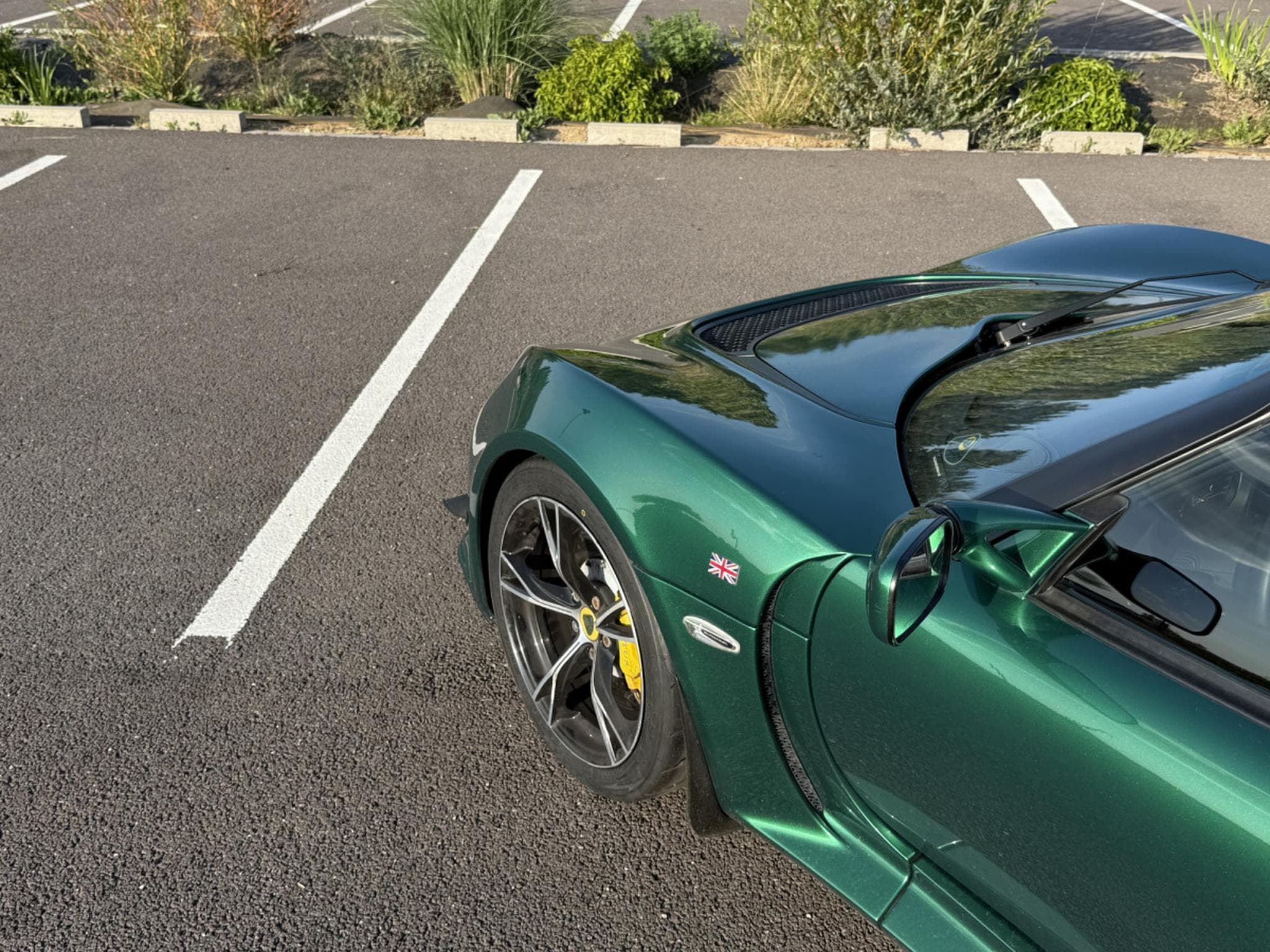 Gallery image 5