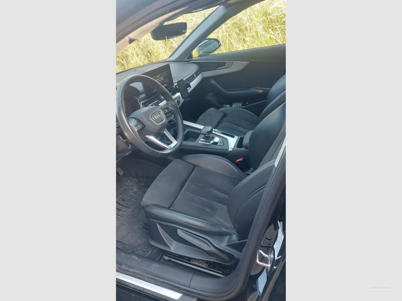Gallery image 11
