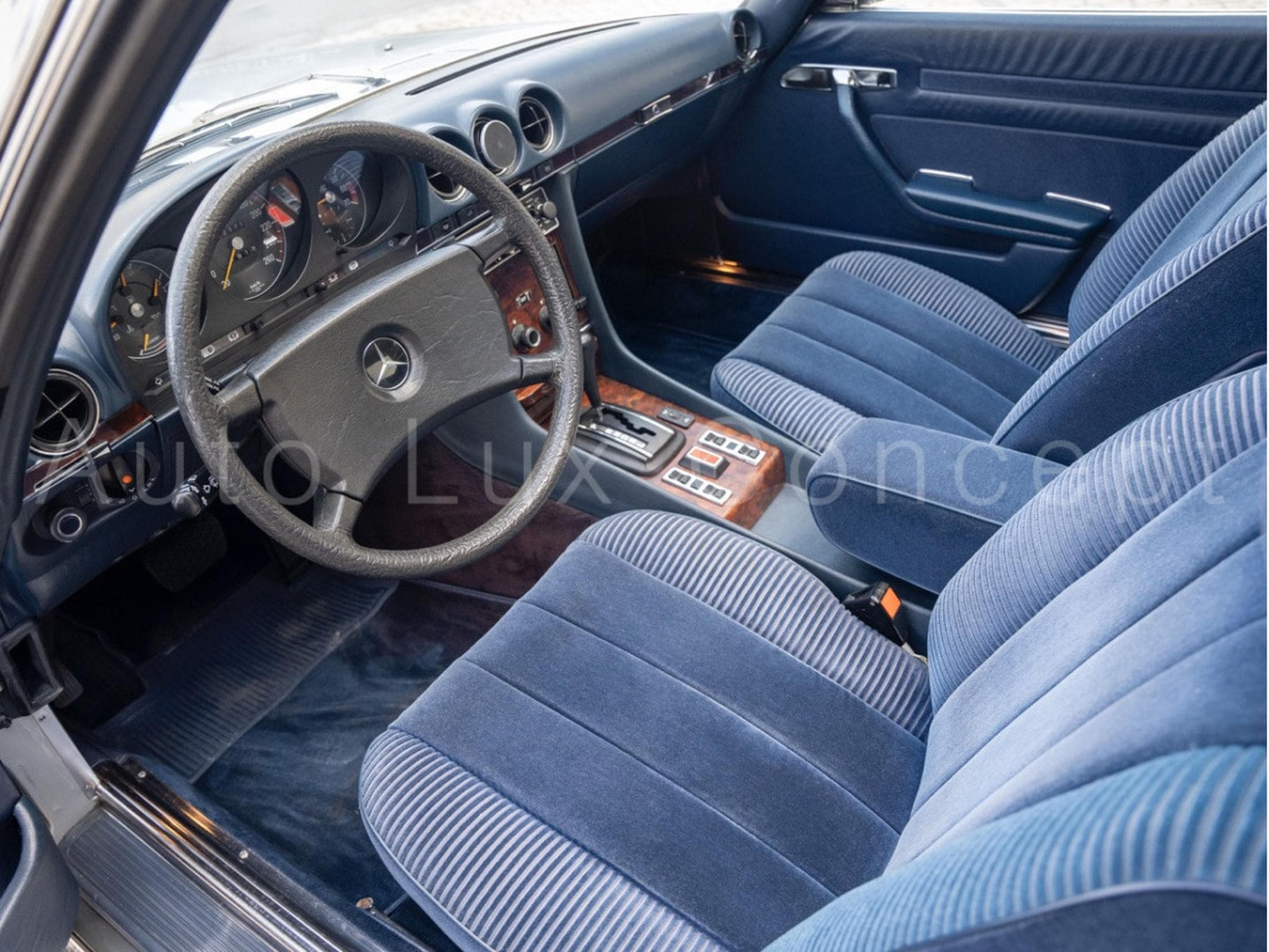 Gallery image 5