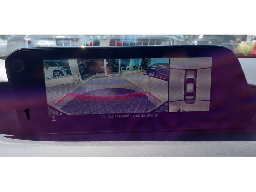 Gallery image 11