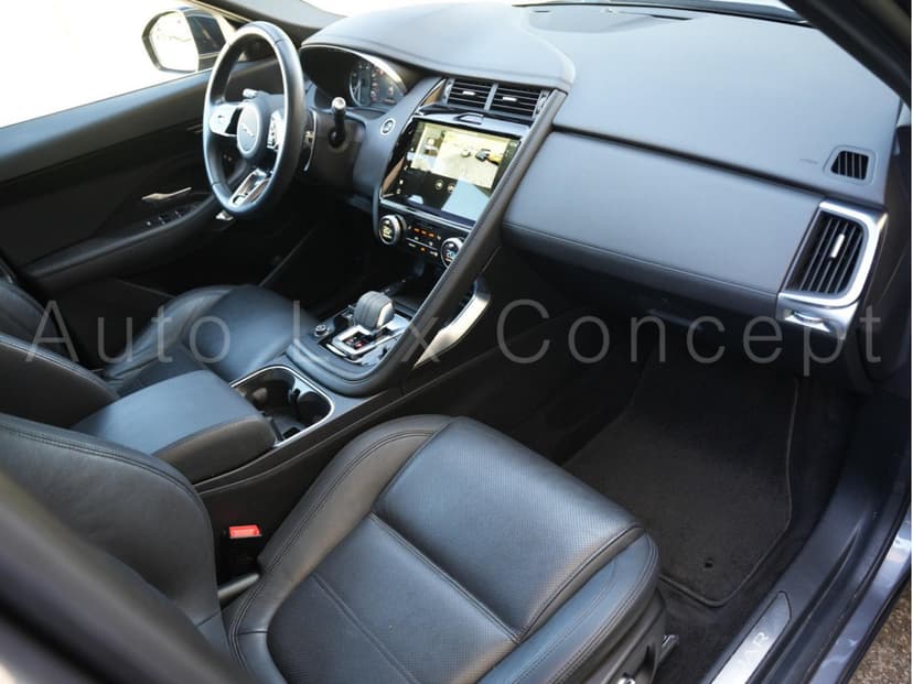 Gallery image 6