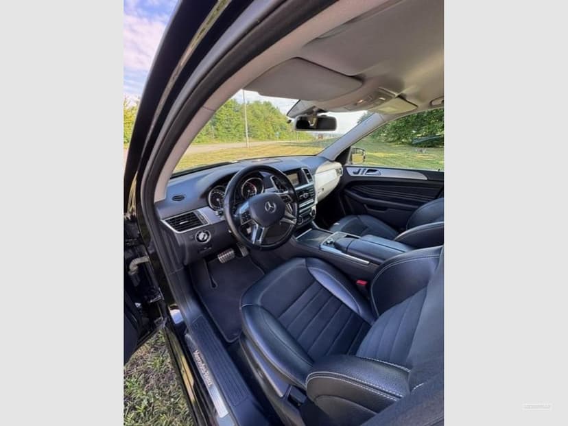 Gallery image 12
