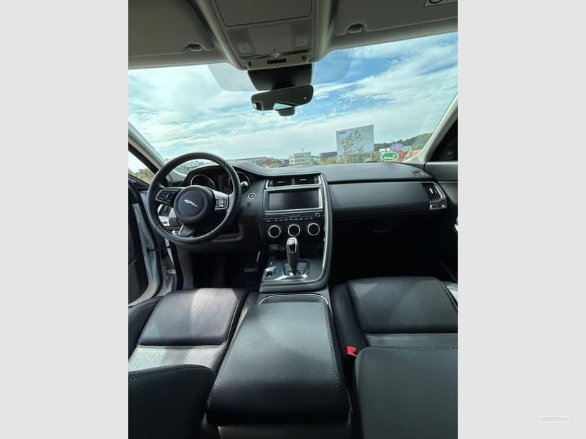 Gallery image 12