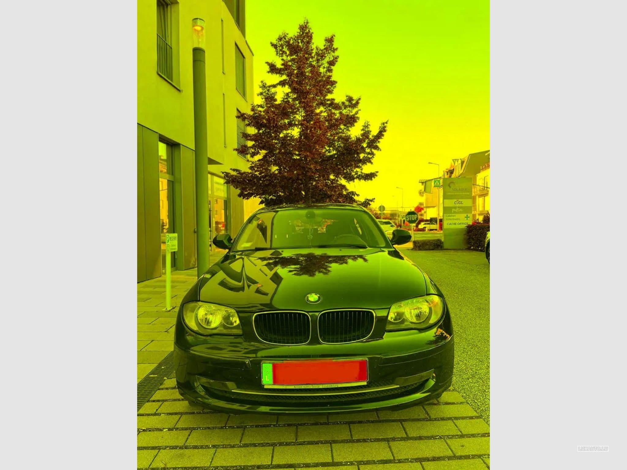 Gallery image 3