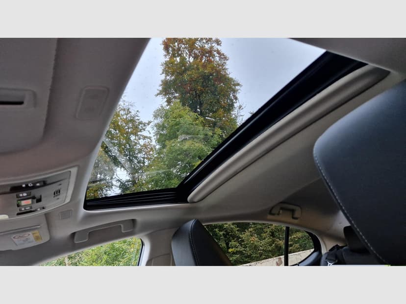 Gallery image 14