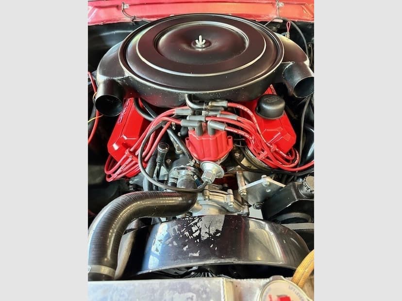 Gallery image 14