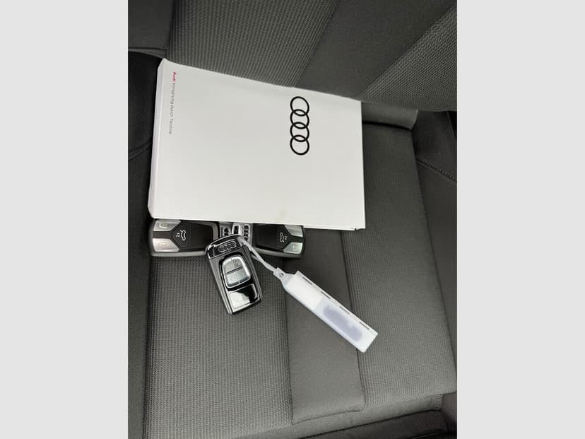 Gallery image 14