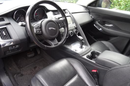 Gallery image 13